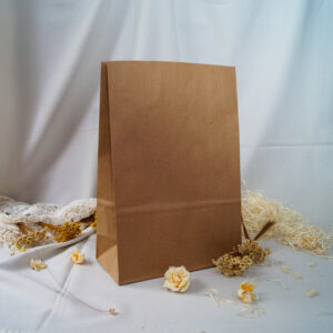 Bolsa Kraft N° 4 - 26x34x12 cm.