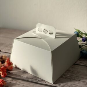 Caja torta eco 21x21