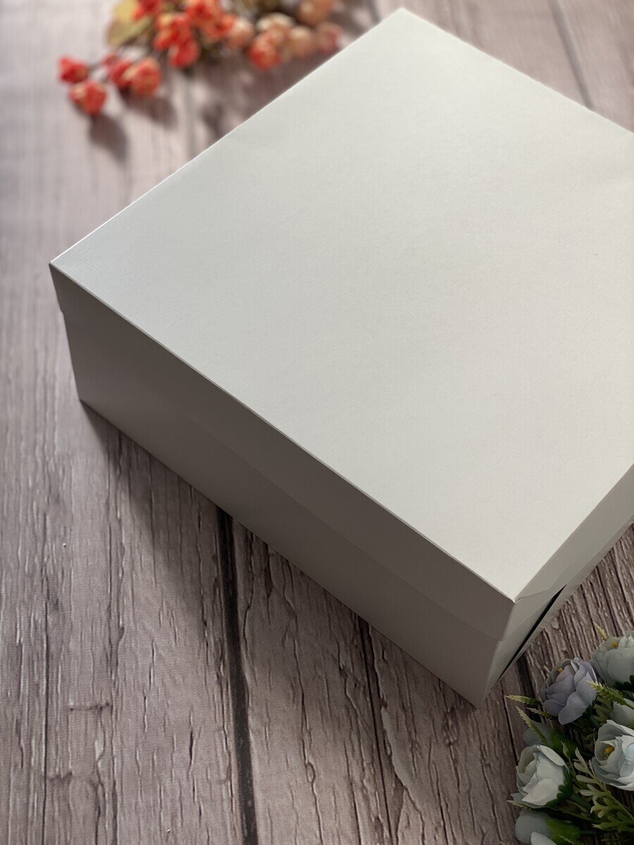 Caja para torta y sandwich con tapa
