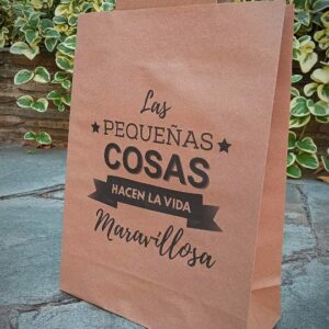 Bolsas Riñon Kraft IMPRESA  N° 5 30x40x10 cm.