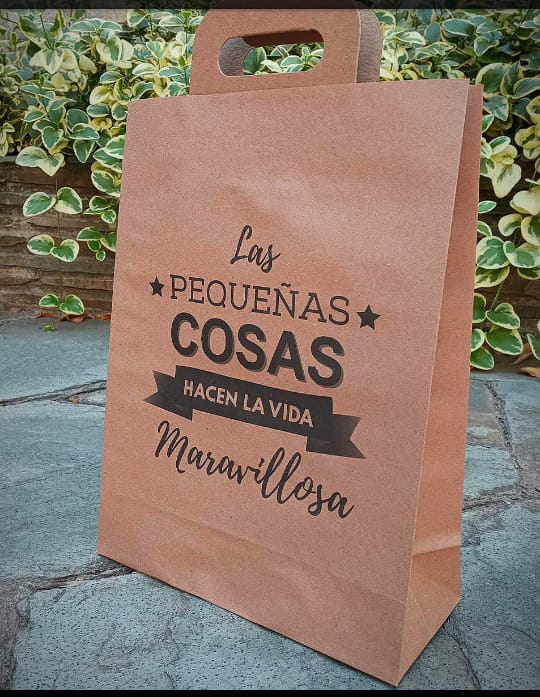 Bolsas Riñon Kraft IMPRESA N° 5 30x40x10 cm.