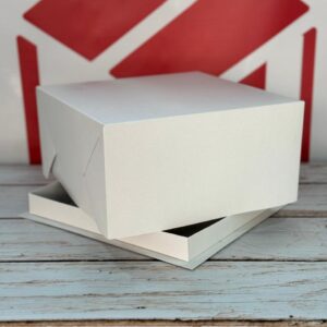 Box base c/ tapa 25x25x13