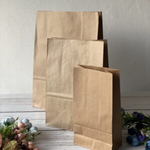 Bolsa Kraft N° 2 - 16x25x8 cm.