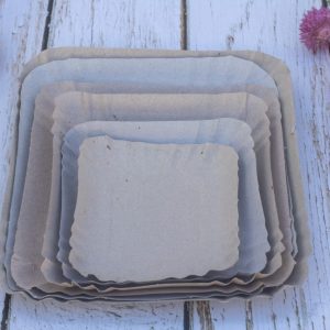 Bandejas Carton Gris