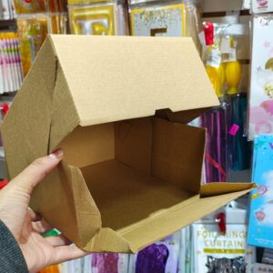 Box Kraft 20x20 Cm.